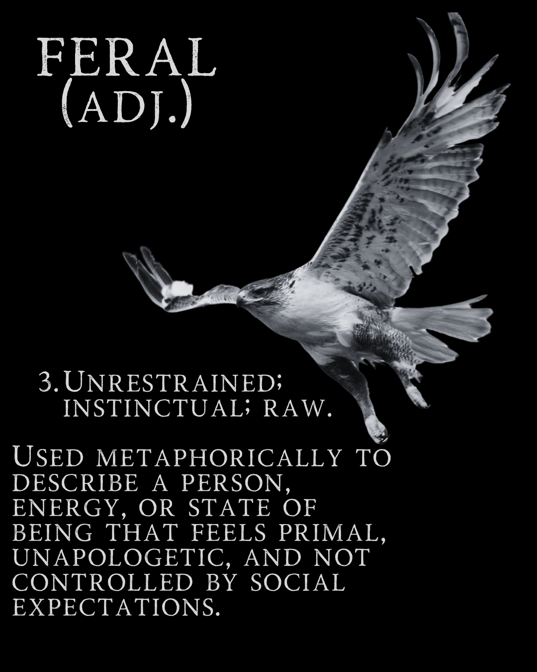 3/13 FERAL Launch Party