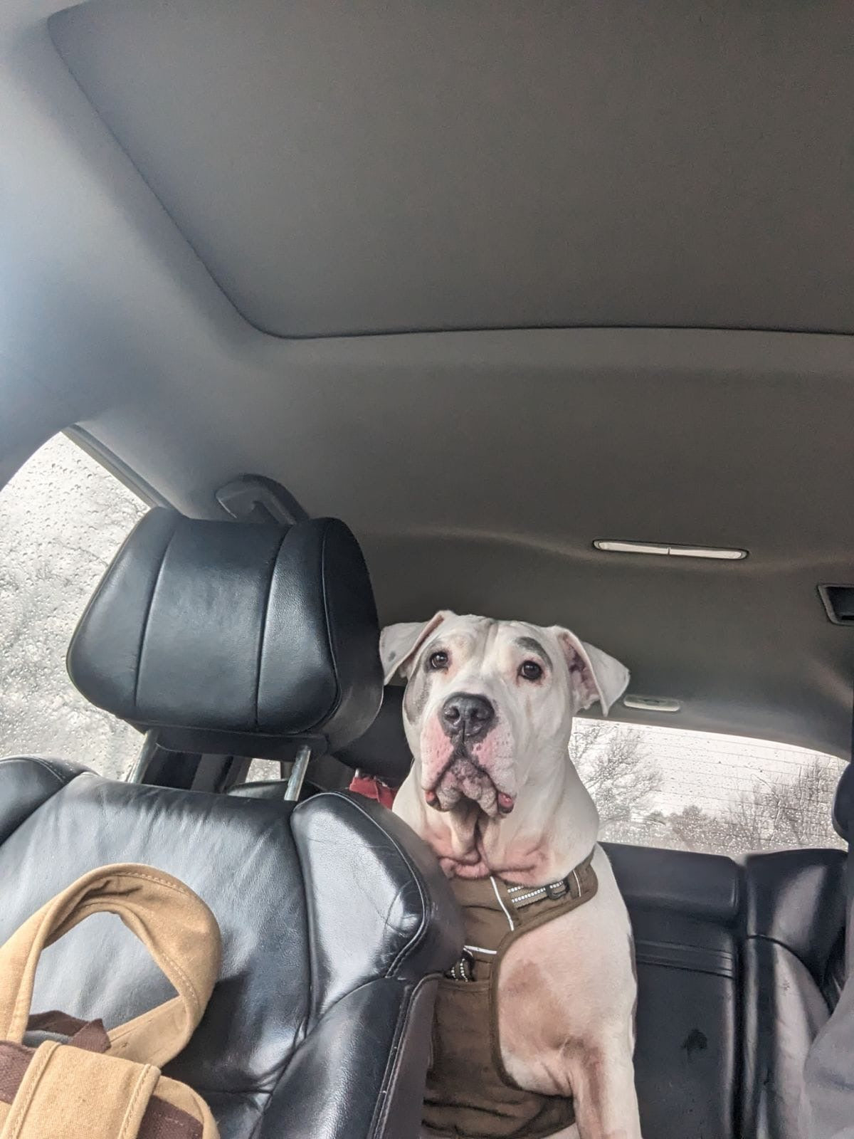 Life Happens Candles Help Tote Bag