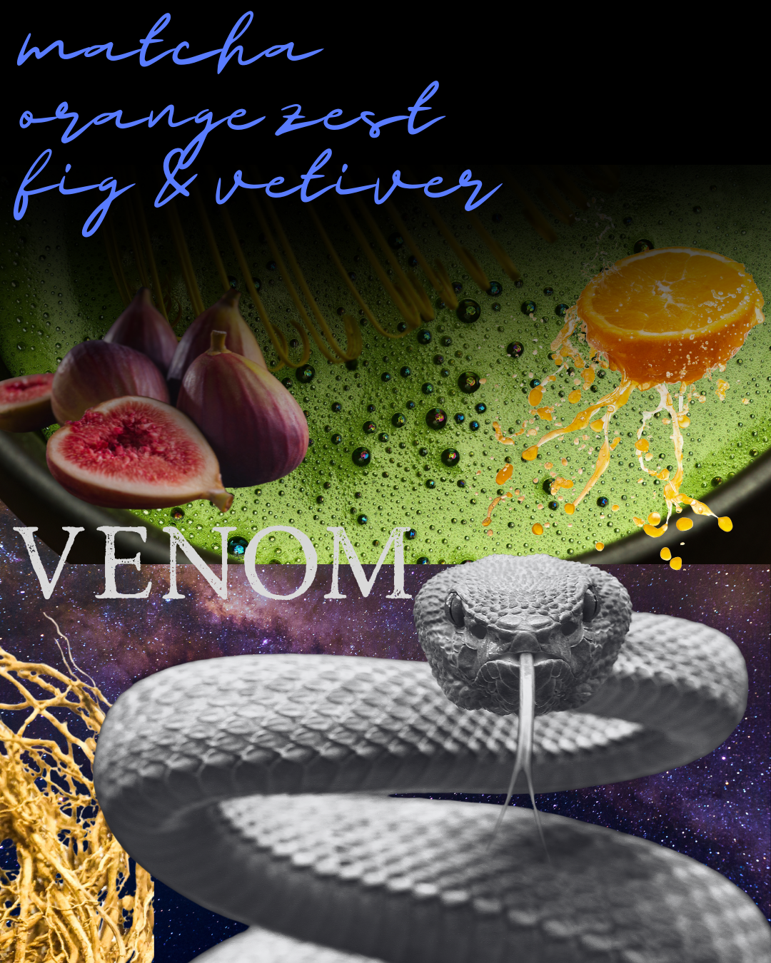 FERAL Discovery Set - Free Shipping