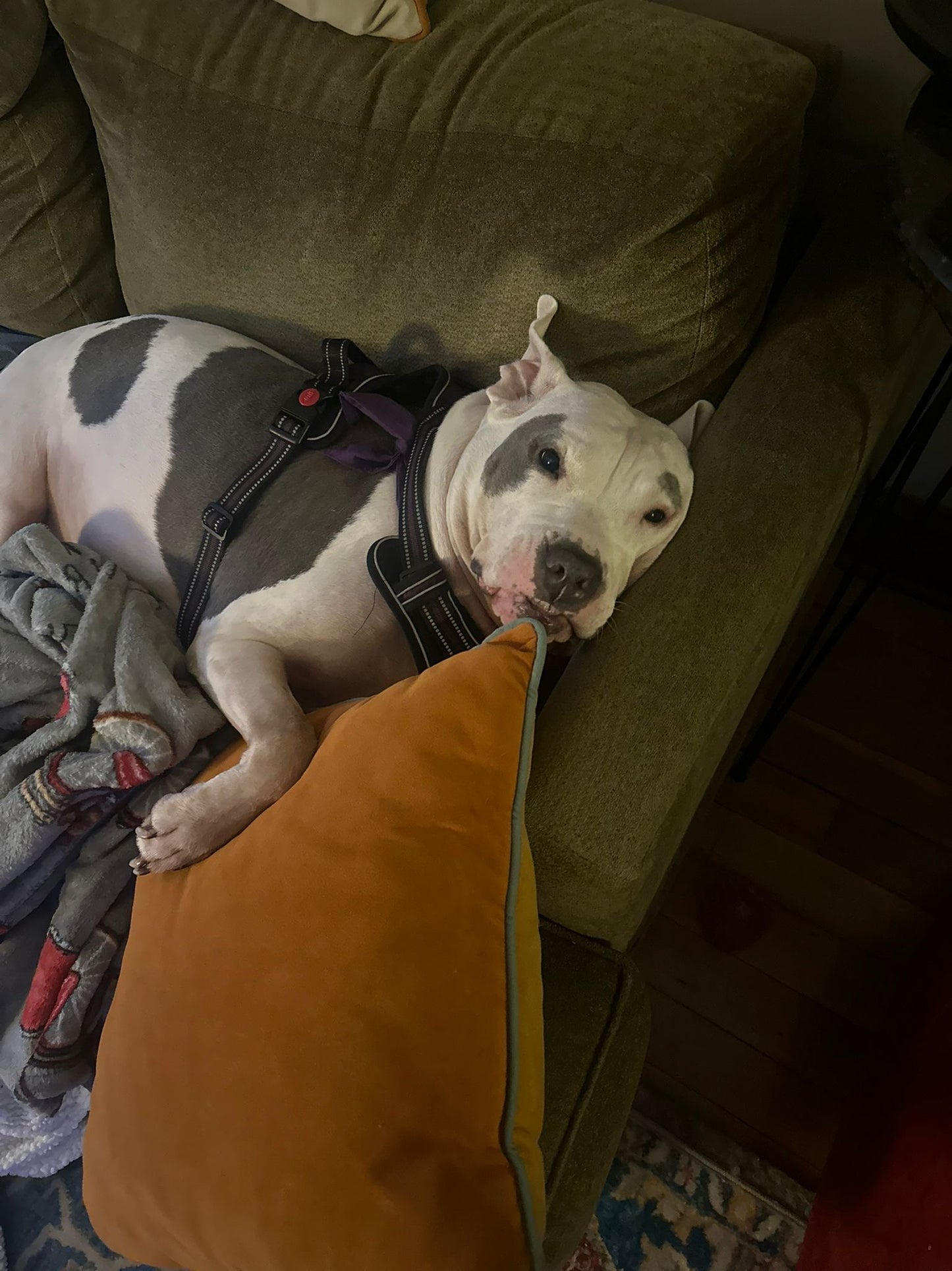 Life Happens Candles Help Tote Bag