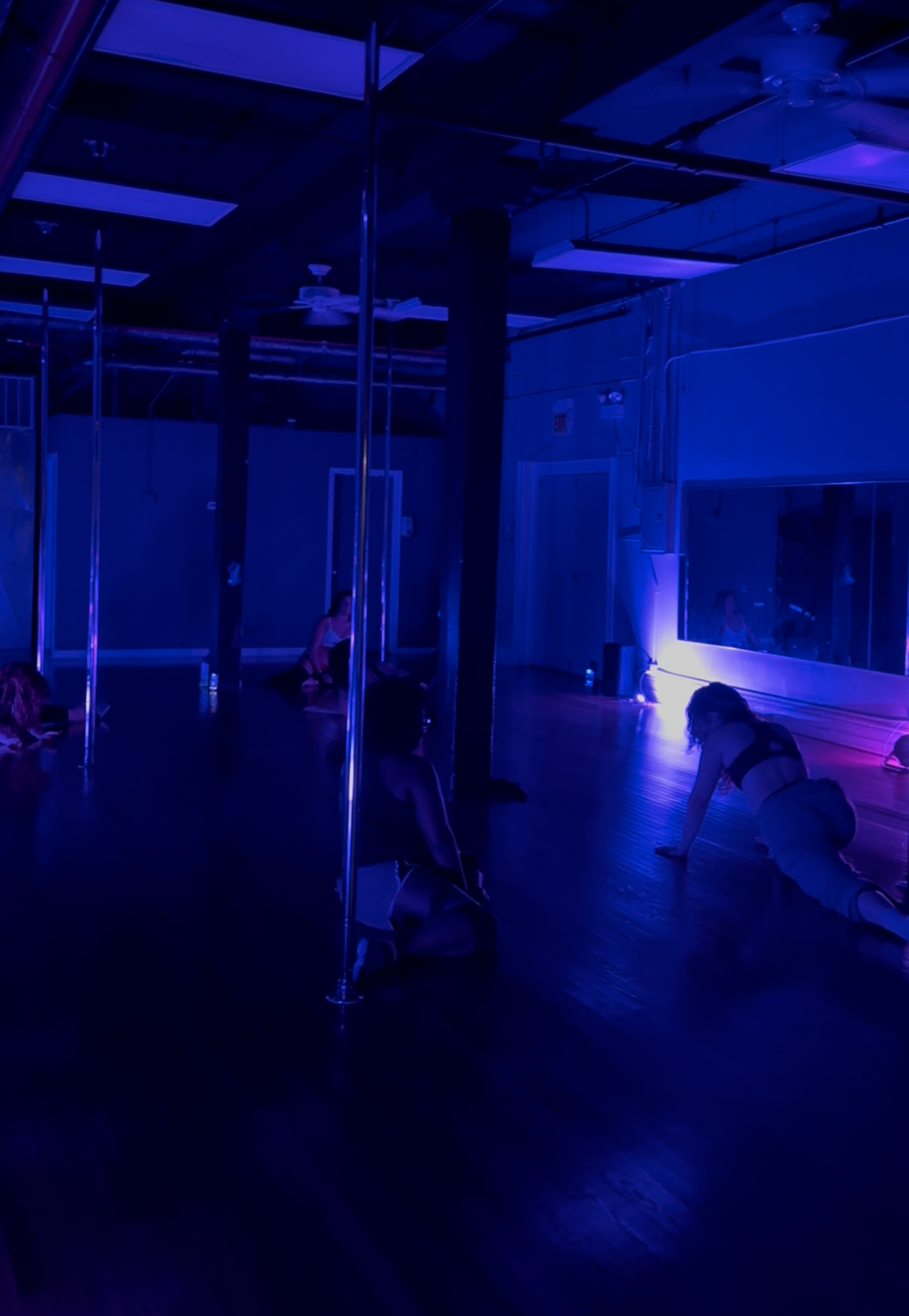 3/13 FERAL Launch Party